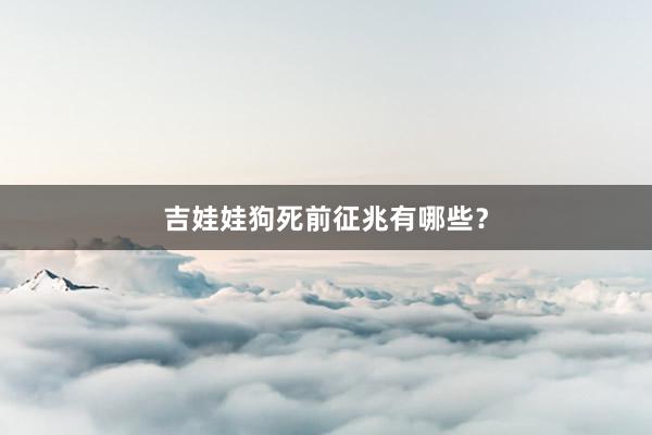 吉娃娃狗死前征兆有哪些？